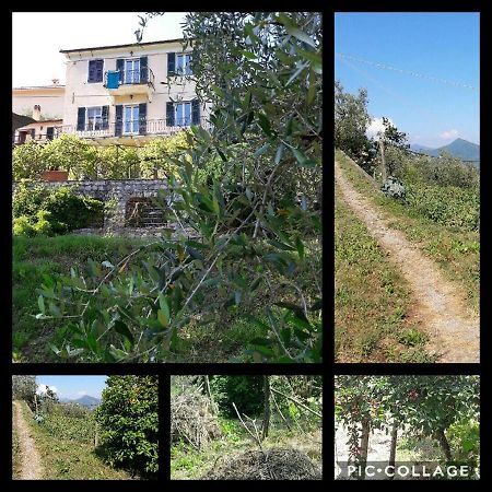 Camposasco Rural House Rondini酒店 外观 照片